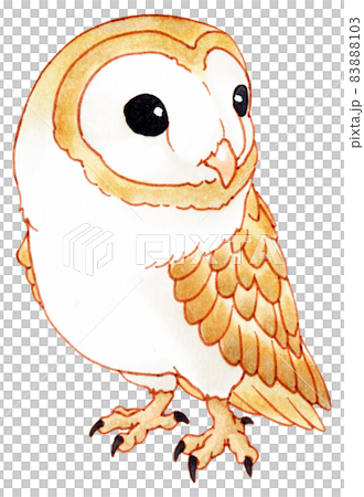 かわいいメンフクロウのマーカー画イラストのイラスト素材 8103
